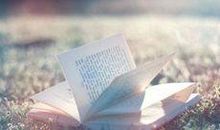 早安心语：不亏待每一份热情，不讨好任何的冷漠