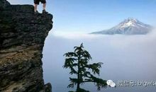 青春励志文章：逆境和顺境