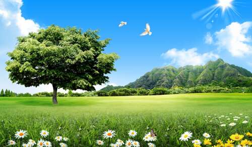 你能值多少钱？唤醒无数人