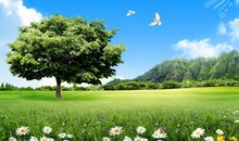 你能值多少钱？惊醒无数人