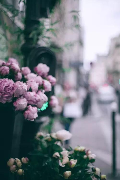 经典语录：幸福不是很难爱，而是和平生活