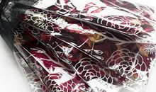 许地山：爱流汐涨