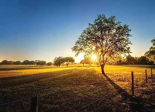 故事很短，原因很深