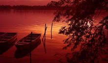 一篇让我泪流满面的文章：江上的母亲