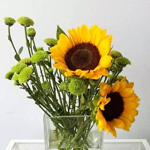 做这13件事让你感觉更好