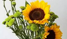 做这13件小事，能让你心情变好