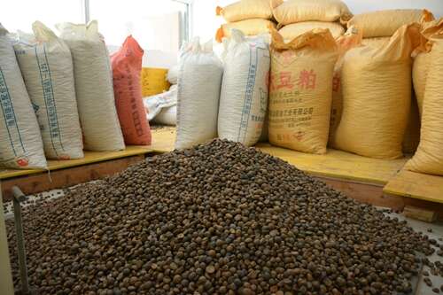 李朝旺：“小产品”造就大产业