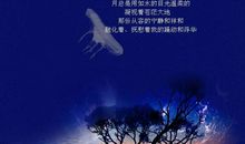 想念远方朋友的句子