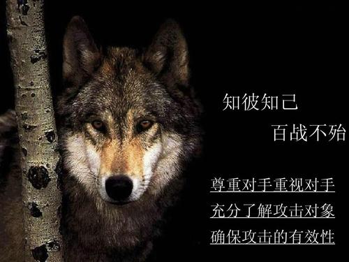 用句子认识你自己