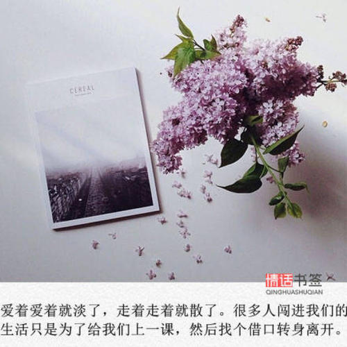 描述野花的句子