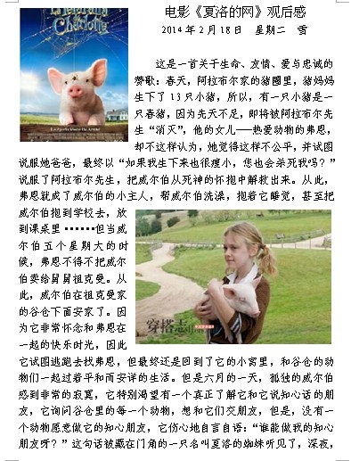 看完《夏洛特的网》后的爱网思想