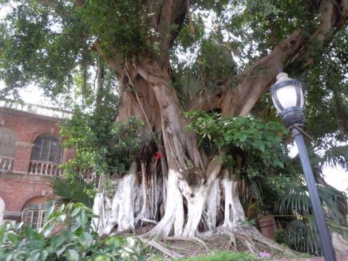 泰戈尔：悦榕庄