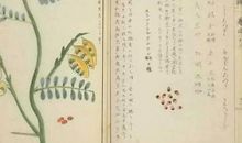 抒情散文摘抄