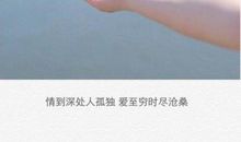 经典语录：情到深处人孤独，爱到最后没去留