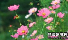 关于逆境和成功的名言警句