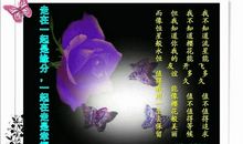 经典语录：走在一起是缘分，在一起走是幸福