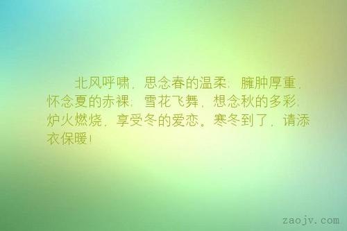 美丽的句子，与飞舞的雪花