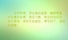 雪花飞舞的优美句子