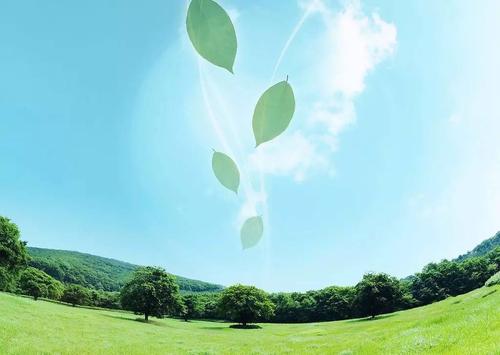 这是最高的智力状态