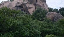 这山望着那山高造句