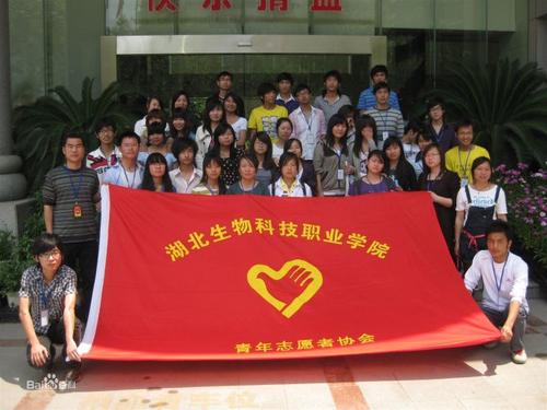 青年志愿者事迹