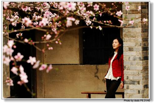 经典语录：花朵会盛开，春天会来临，时间会帮助你看到它的开放