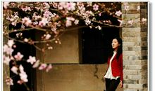 经典语录：花会开，春会来，时间会帮助你看开