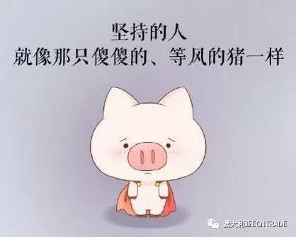 坚持是如此困难,为什么你不选择放弃?