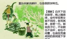 范成大：四时田园杂兴·梅子金黄杏子肥