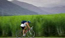 经典语录：做不成情人，但还要做人