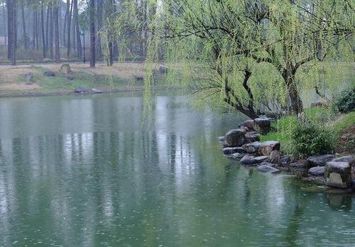 形容春天的雨的句子