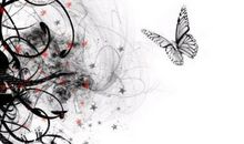 关于蝴蝶的句子