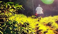 中国独生子女的悲哀：“不敢死，不敢远嫁，特别想赚钱，因为父母只有我”