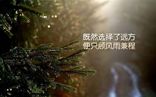 争取时间就是一切