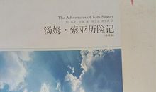 读汤姆索亚历险记有感1000字