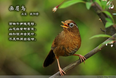 关于动物的古诗