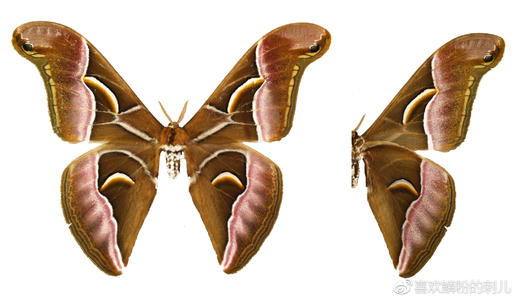 那些年，我们已经看到了“丰富的思维”