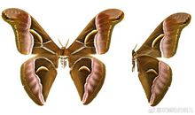 那些年，我们见过的“富人思维”