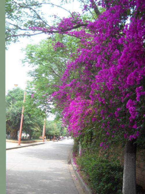 在夏天照顾朋友