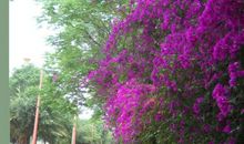 夏天关心朋友的话