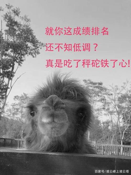 句子中的真实证据