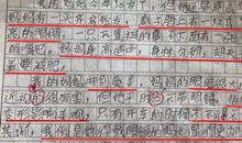 我的“呆”妈作文