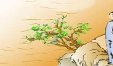 白居易：浪淘沙·白浪茫茫与海连