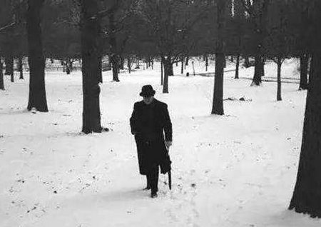 我的生活逐渐变得冷清,似乎是衰落的开始1