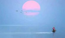 30篇温暖感人的微小说，看后有说不出的感动