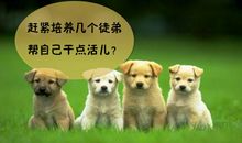 其实，大多数人并不在意你