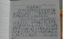 下一次，我会做得更好作文