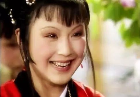 《红楼梦》中较为优美的诗句