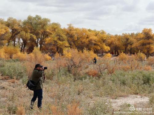 陶渊明:春秋战国时期