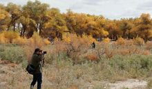 陶渊明：移居·春秋多佳日